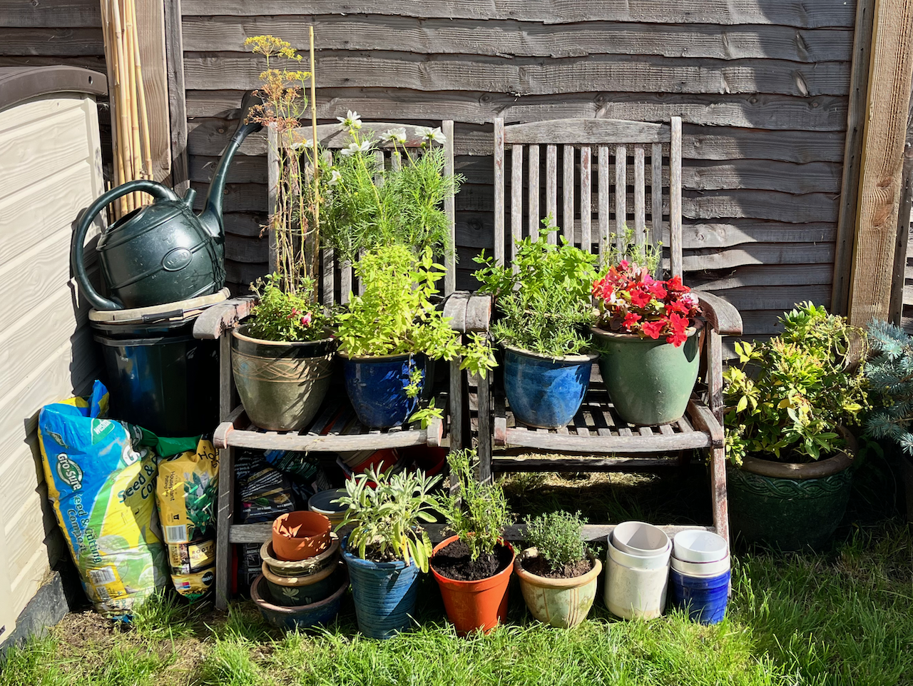 plant pots on garden chairs